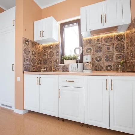 Apartment Alexandru Private Neptun